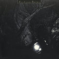 Cocteau Twins - The Pink Opaque [LP]