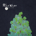Rilo Kiley - More Adventurous (180g) Vinyl [LP]