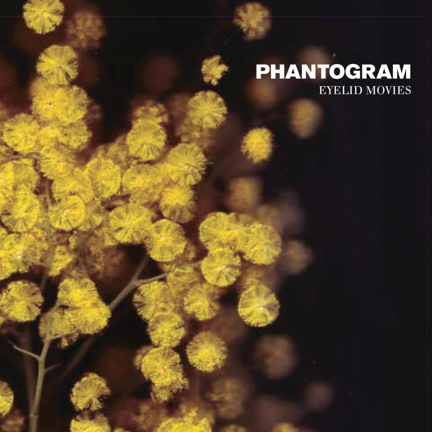 Phantogram – Eyelid Movies (Clear w/ Yellow Swirl) [LP]