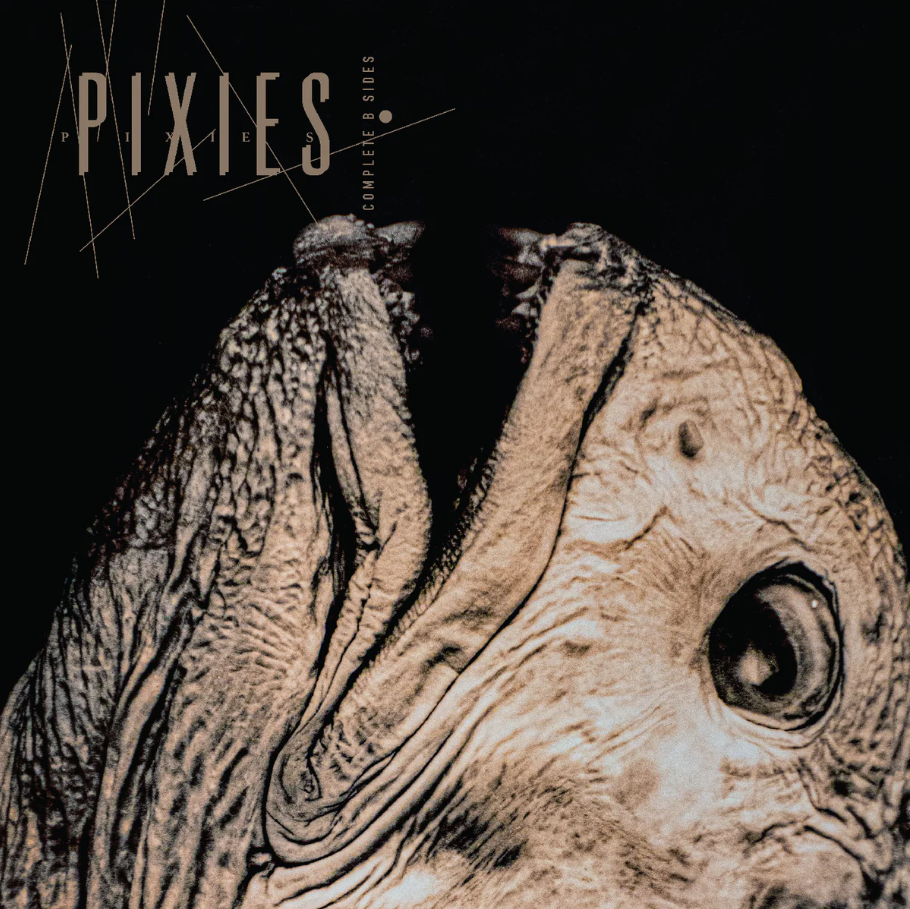 Pixies – Complete B Sides: 1988-97 (Indie Exclusive, Clear Vinyl) [2LP]